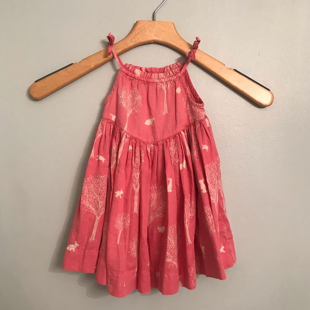 Baby Gap Beatrix Potter Bunny Print Dress